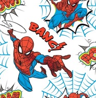 Tapeta dla dzieci Spider-Man do pokoju chłopca