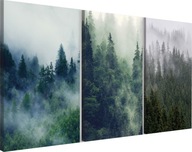Obraz do obývačky obrazy na stenu triptych les v hmle 60x120