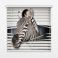 Foto roleta Na wymiar 80x240 cm Zebra w żaluzjach