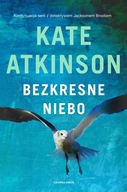 BEZKRESNE NIEBO ATKINSON KATE KSIĄŻKA CZARNA OWCA