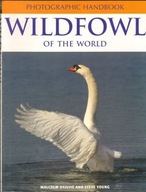 WILDFOWL OF THE WORLD - OGILVIE, YOUNG
