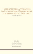 International Approaches to Professional