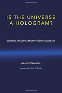 Is the Universe a Hologram?: Scientists Answer