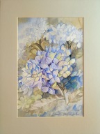 Modrá hortenzia, akvarel, B. Mlynik-Szile