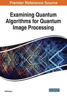 Examining Quantum Algorithms for Quantum Image