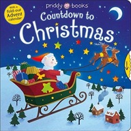 Countdown To Christmas Priddy Roger