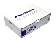 BorgWarner (BERU) Zakladacia cievka ZS375 4014427113805