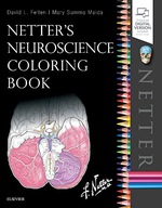 Netter s Neuroscience Coloring Book Felten