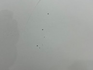kapota predok EXPERT IV JUMPY III VIVARO C 20R ORYG LAKIER
