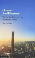 Chinese Small Property: The Co-Evolution of Law