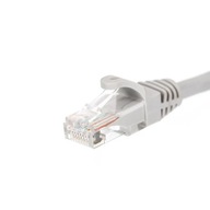 Netrack BZPAT05U5E kabel sieciowy Szary 0,5 m Cat5e U/UTP (UTP)