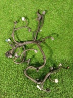 bundle przewodow of the engine Subaru Outback 4 2010