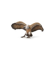 SĘP PŁOWY - Vulture - PAPO - 50168
