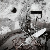 Winyl Secrets Of The Beehive David Sylvian