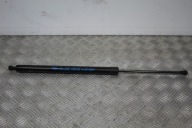 damper telescope bonnet TRAVELLER EXPERT III 3
