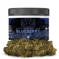 |1G| Blueberry | Susz Konopny CBD |