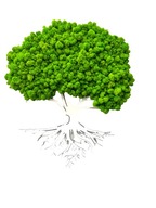 Strom z chrobotu - obraz z prírodného machu 50 - Biela