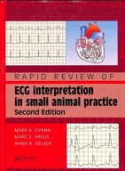 Rapid Review of ECG Interpretation in Small