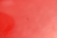 door rear. left SKRZYDLO red OPEL COMBO D 11-20