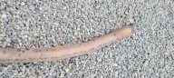 A7 4G pipe exhaust net DRGAN 3.0 TDI 4G0254350B A6 C7 4G