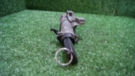ignition Z KLUCZYKIEM VOLKSWAGEN PASSAT B5 FL 4B0905851C