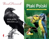 Ptaki Polski Kruszewicz + Umysł kruka Badania