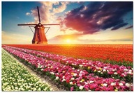 Educa Borras 1500 Holandsko Veterný mlyn Tulipány Tulip