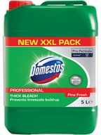 KVAPALINA DOMESTOS XXL 5L ZELENÁ 7615400179763