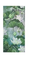 Obraz keramická dlažba 240x120 Vodné ľalie kvety Nenufary