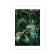 Plagát palmové listy 30x40 cm Plagát do obývačky