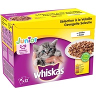 WHISKAS Junior 12x100g drobiowa uczta mokra karma dla kociąt w galaretce