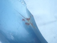 HONDA ACCORD VII 02-08 fender right front front
