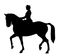 AUTÓMATRICA ABLAKRA LÓ WKKW DÍJLOVAGLÁS