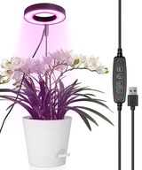 LED LAMPA PRE RASTLINY Na pestovanie a rast Osvetlenie Žiarovka Grow TIMER