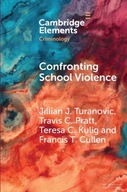 Confronting School Violence: A Synthesis of Six