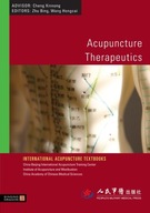 Acupuncture Therapeutics group work