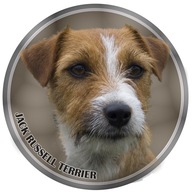 Samolepka na auto - Jack Russell Terrier