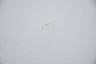 LOTKA SPOILER bonnet FORD FOCUS MK3 III