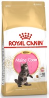 ROYAL CANIN Maine Coon Kitten dla kociąt 10kg