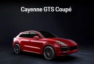 PORSCHE CAYENNE 9Y0 9Y3 GTS right grid POLYSK