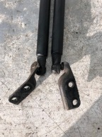 SILOWNIKI bonnet boot NISSAN NOTE E11 904509U00A