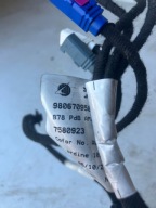 bundle RADIA KABEL aerial CITROEN C4 PICASSO II 9806709580