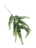 Papraď vetvička 53 cm zelená bielená
