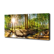 Foto obraz veľký na plátne Panorama les 140x70 cm