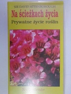 Na ścieżkach życia. Prywatne życie roślin Kwitnien