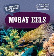 20 Things You Didn't Know about Moray Eels (Did You Know? Ferocious Fish)