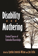Disability and Mothering: Liminal Spaces of