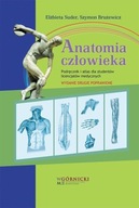 Anatomia człowieka Podręcznik i atlas dla