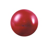Piłka rehabilitacyjna do ćwiczeń 55 cm + pompka