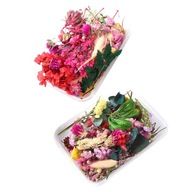 SUSZONE KWIATY do wazonu susz florystyczny bukiet | PRÍRODNÉ | 2 pudličky